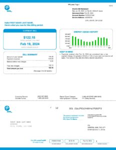 fpl bill pdf