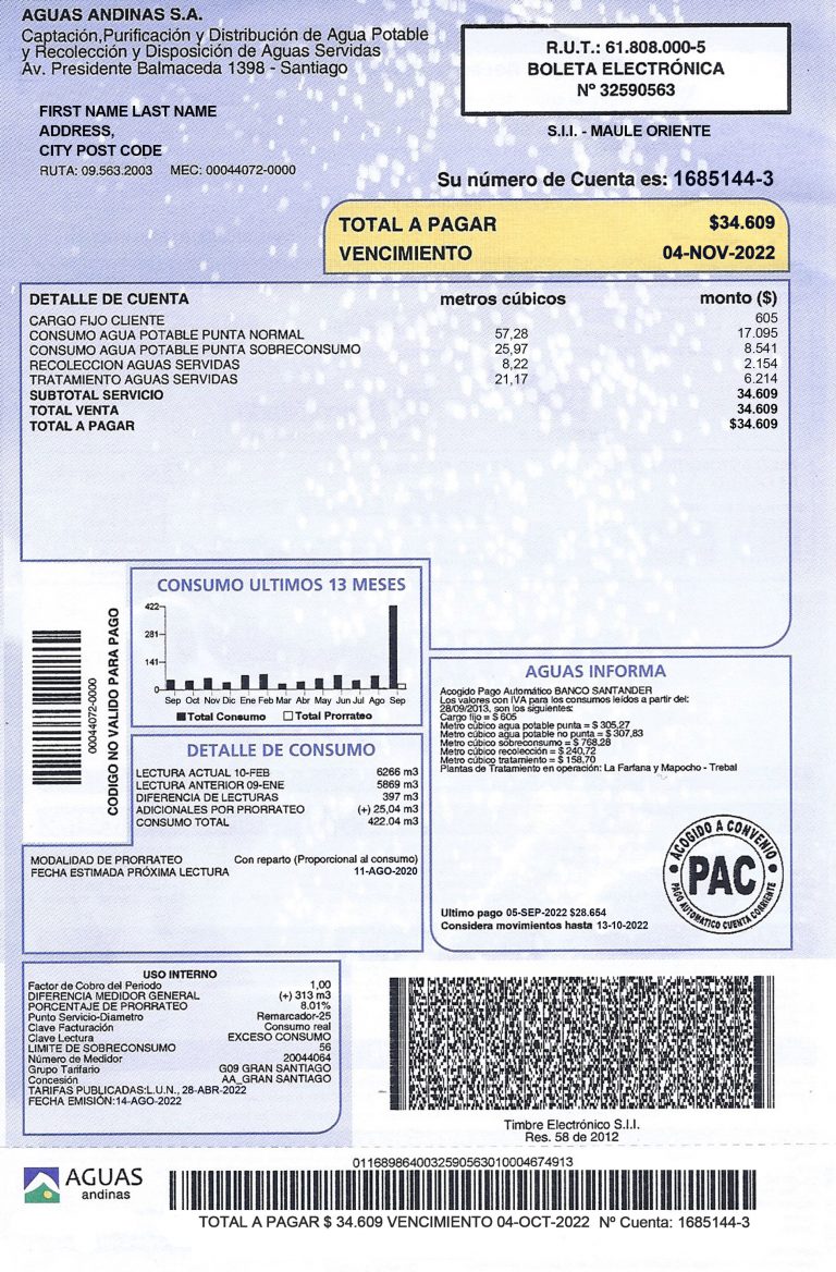 Chile Boleta fake utility bill template