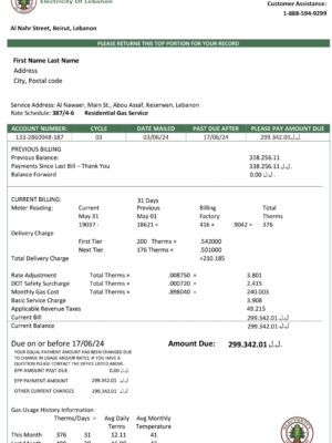Editable {utility type} bill template – Electricity of Lebanon sample in PDF