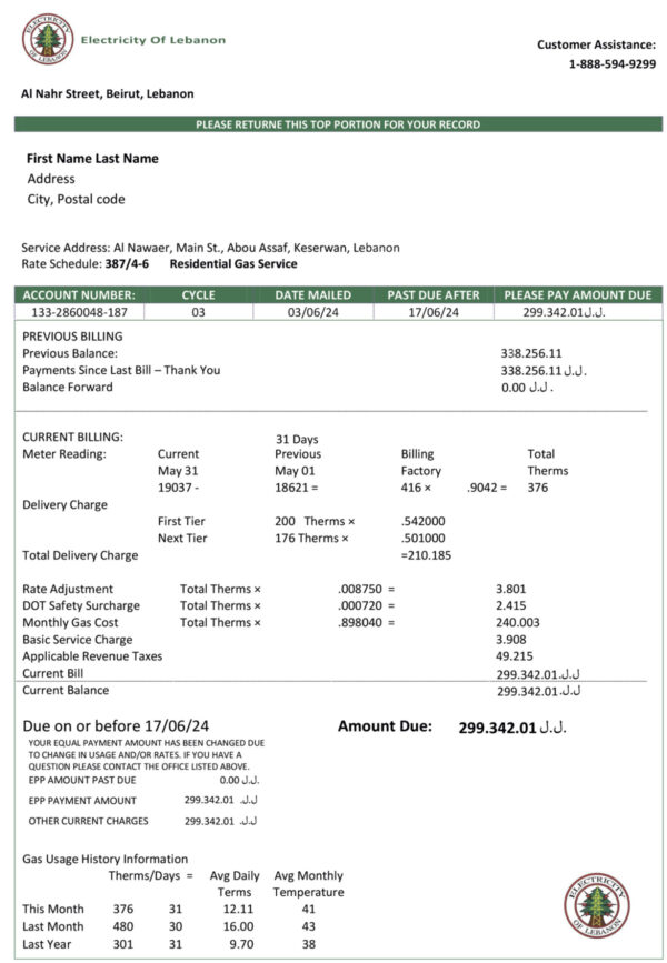 Editable {utility type} bill template – Electricity of Lebanon sample in PDF
