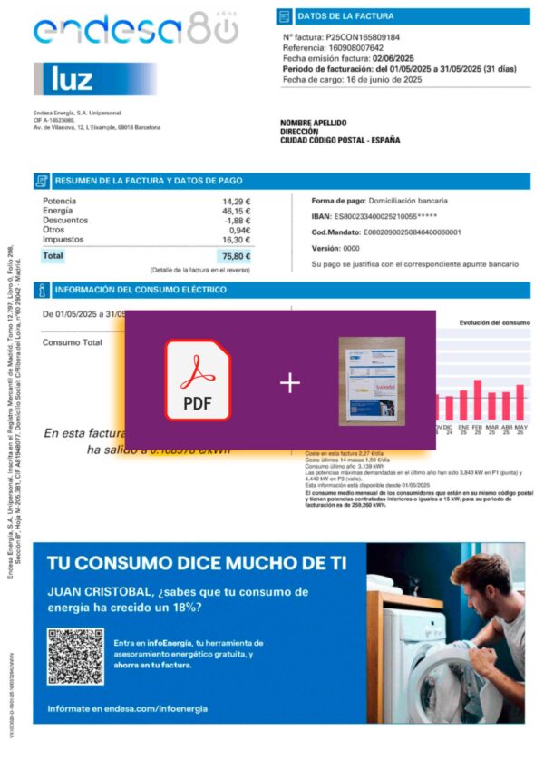 Downloadable energy bill from Endesa, Spain – banner included