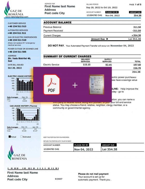 Romania utility bill template