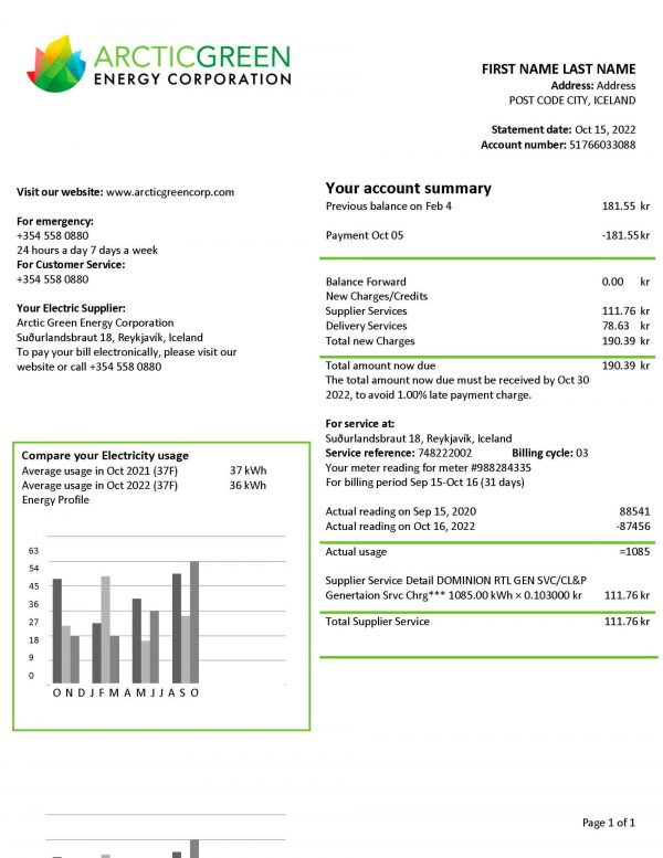 Iceland utility bill template