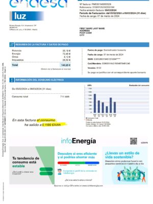 Endesa Energy Spain Fake utility bill