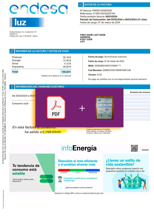 Endesa Energy Spain utility bill template
