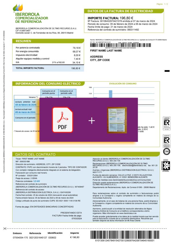 Spain utility bill template