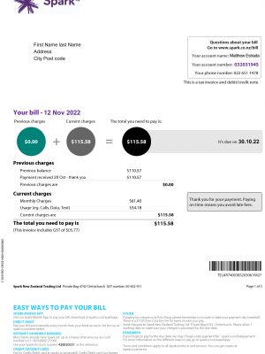 New Zeland Make utility bill template