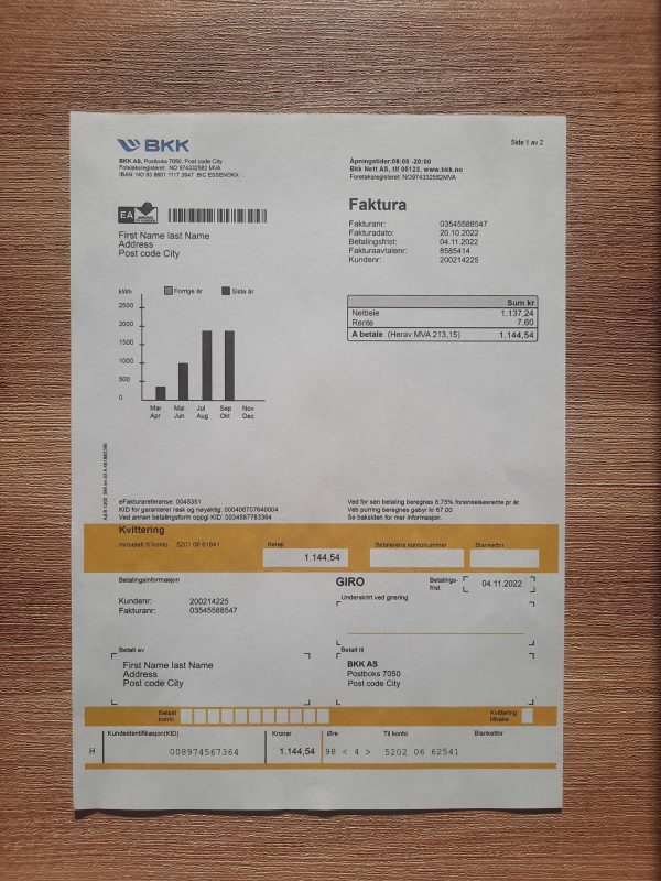 Norway BKK Electricity fake utility bill template sample