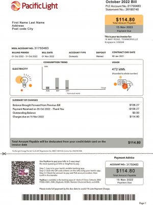Singapore fake utility bill for proof of address