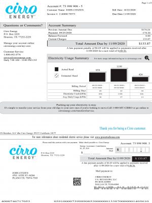 Texas utility bill template