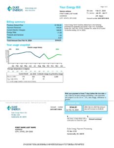 Duke Energy utility bill template