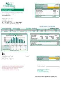 Nodak Fake utility bill