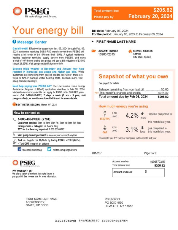 New York utility bill template