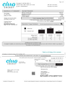 Texas utility bill template