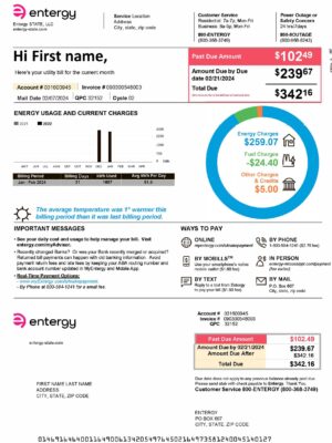 fake Entergy utility bill template