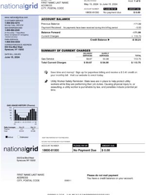 Fake National Grid