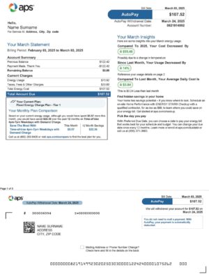 Editable APS Energy bill template – Arizona APS Energy sample in PDF