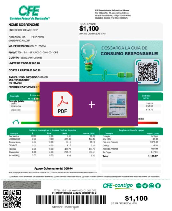 Mexico document for CFE – proof-of-address label applied