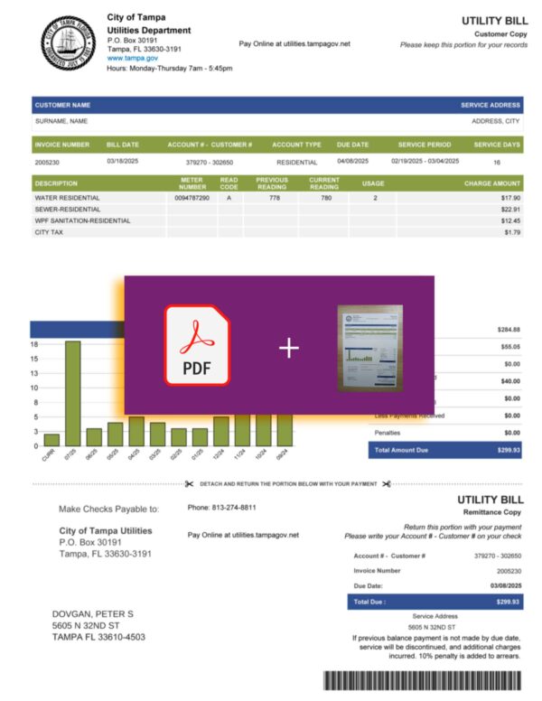 Editable Florida water bill from City of Tampa – UI and verification mockup