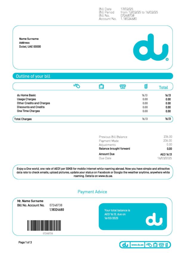 UAE DU Internet A4 utility template – download and edit easily