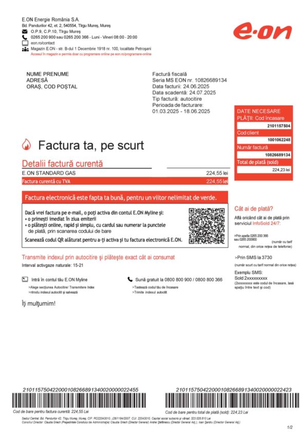 E-ON energy statement from Romania – modifiable PDF template