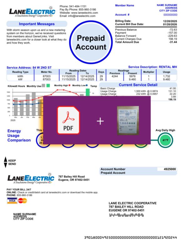 Lane Electric billing statement – Oregon document for UI simulations
