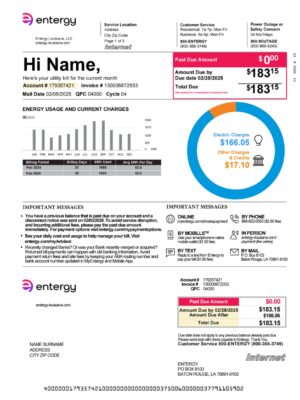 Downloadable electric bill from Entergy Louisiana – banner included