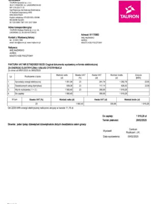 Tauron electric statement from Poland – modifiable PDF template