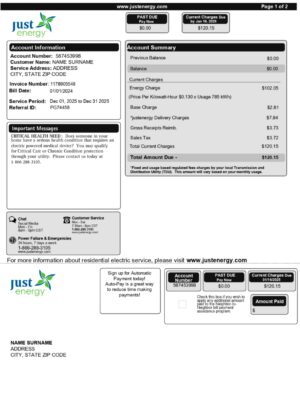 Just Energy statement from the USA – modifiable PDF template